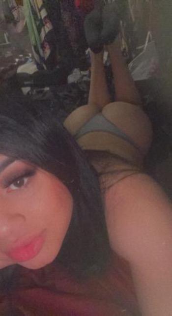 4088242258, transgender escort, San Jose